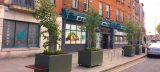 Planter on James's Street Dublin